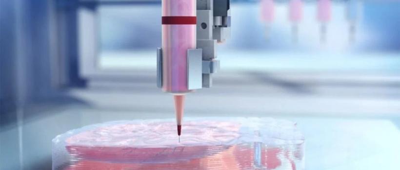 3D Bioprinting Market 