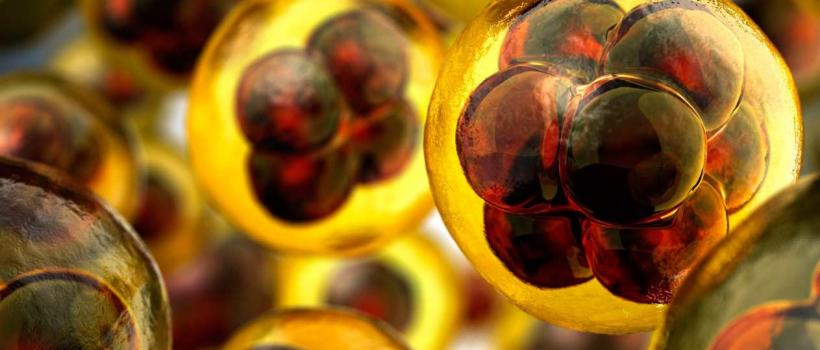 3D Cell Culture System Market