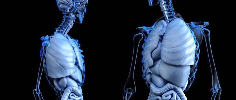 Global 3D Medical Imaging Market Report 2020