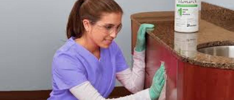 Surface Disinfectants Industry
