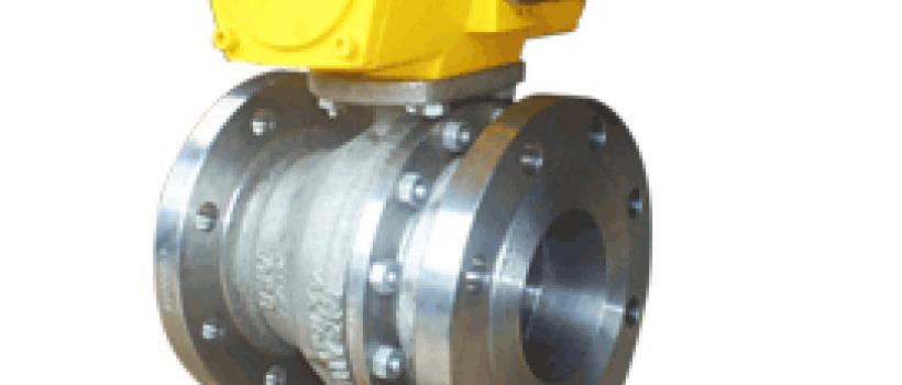 Ball Valves Manufacturer in India