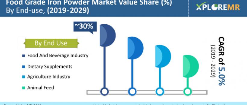  Food Grade Iron Powder Market
