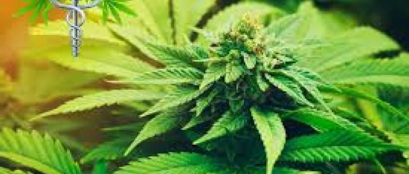 Medical marijuana