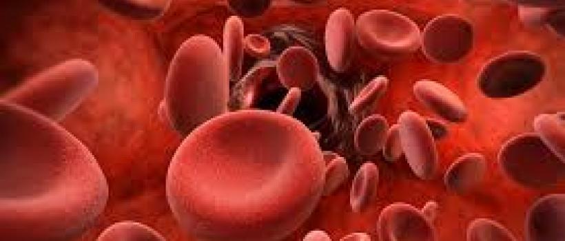 Global Hemophilia Market