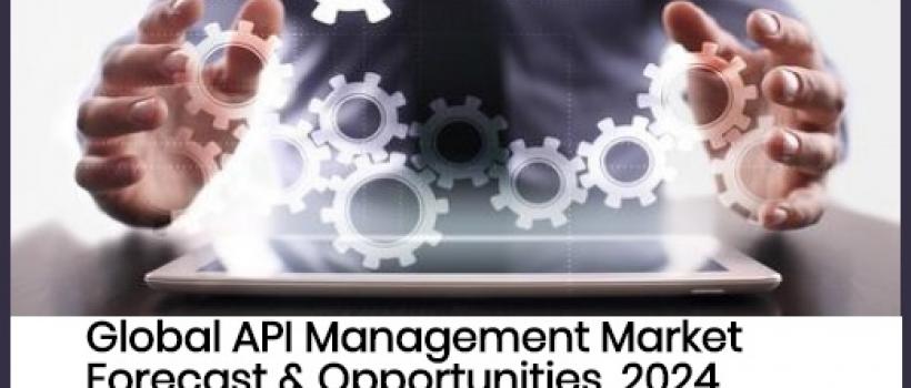API Management Market Report