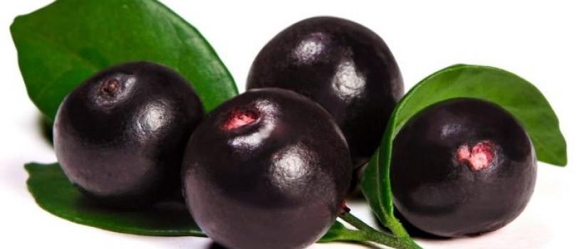 Acai Berry