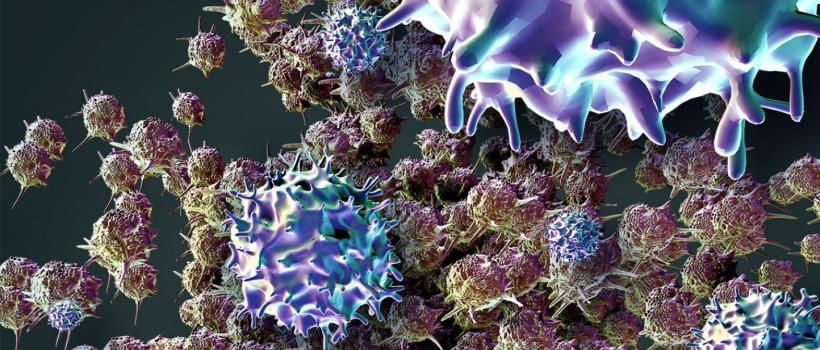 Adoptive Cell Therapy Market 