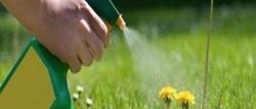 Agricultural Herbicides