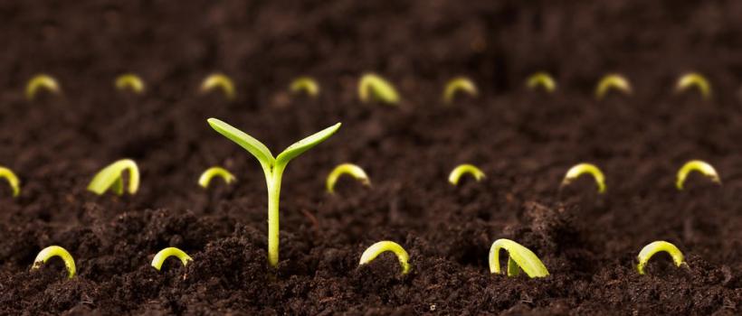 Agricultural Microbials Industry