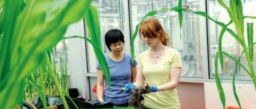 Agricultural Microbials