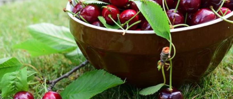 Agricultural Pheromone Market