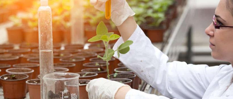 Agricultural Testing Market 