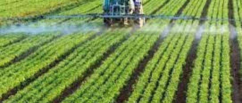 World Agricultural fumigants Market