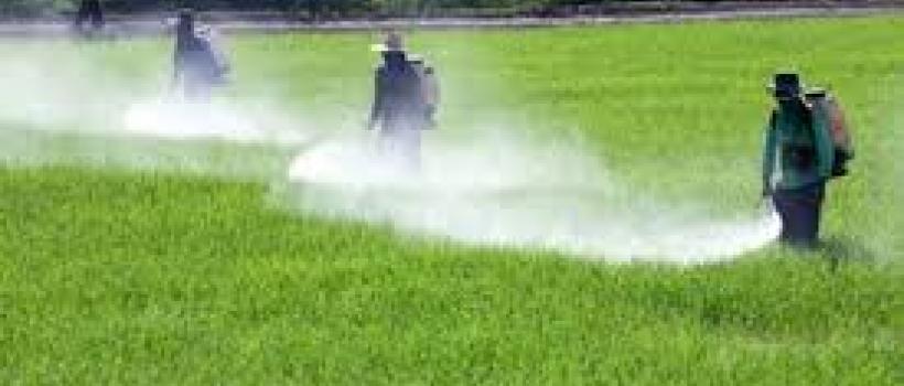 Agricultural Disinfectants Market 2024
