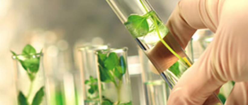 Agricultural Testing Market Trends, And Forecast To 2025