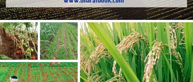 Agriculture Market Report