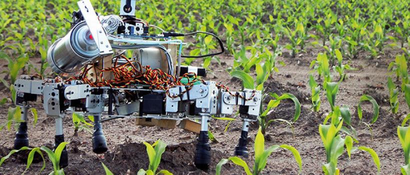 Agriculture Robots 
