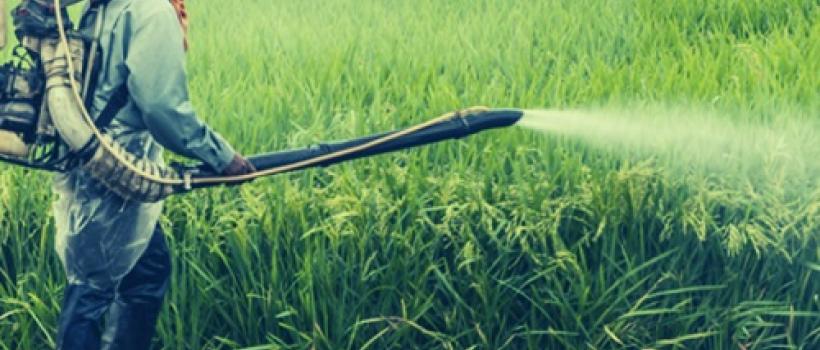 Global Agrochemical Market - World Market Review By Product Type, By Chemical Type, By Crop Type (2019 Edition): Opportunities and Forecast (2019-2024)