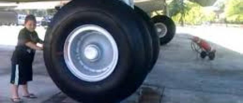 Aircraft Tire Market Share