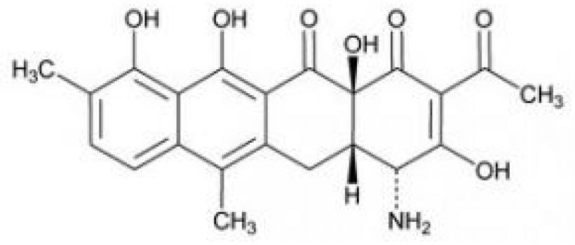 Alendronic Acid