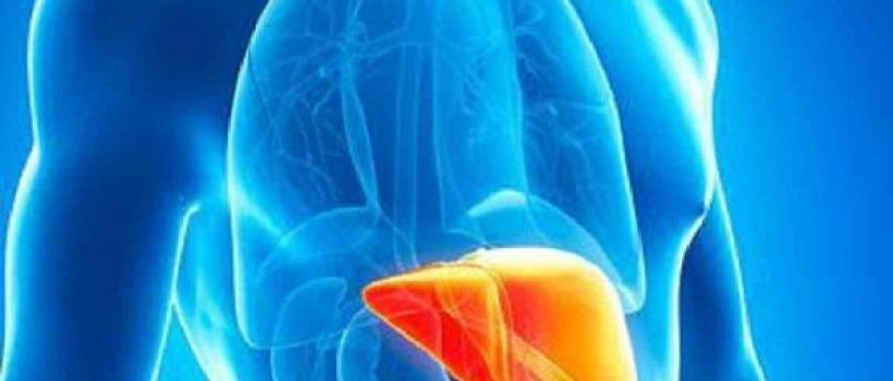 Alpha 1 Antitrypsin Deficiency Treatment, Alpha 1 Antitrypsin Deficiency Treatment Market, Alpha 1 Antitrypsin Deficiency Treatment Market Growth