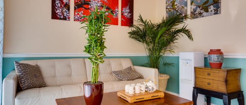 Asian Massage Store Directory Miami, FL