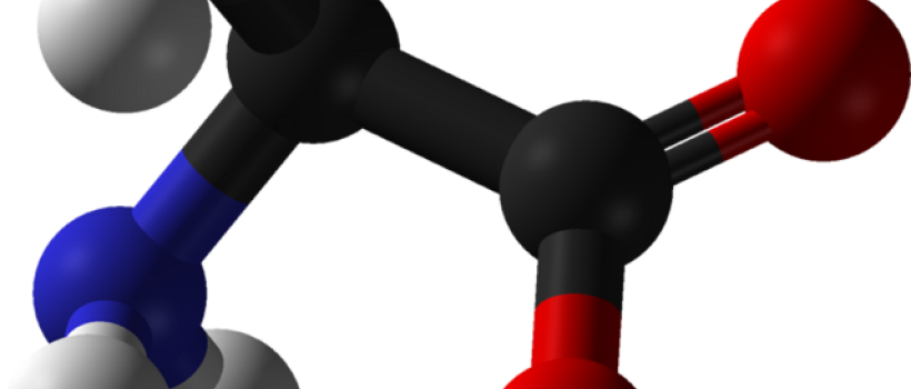 Amino Acid 