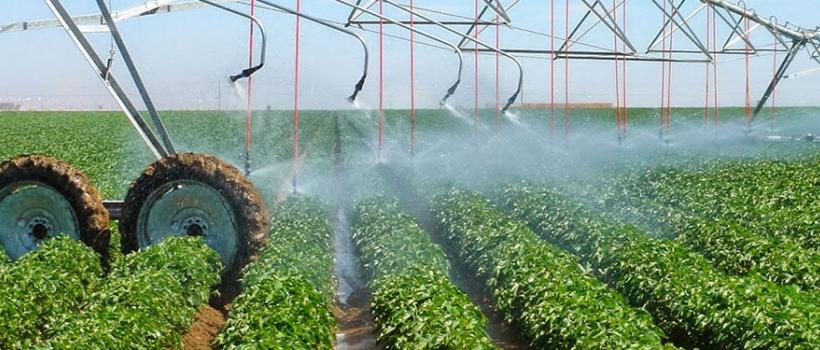 Amino Acid Water-soluble Fertilizer 