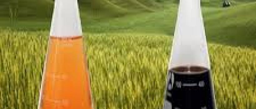 Amino Acid Water-soluble Fertilizer