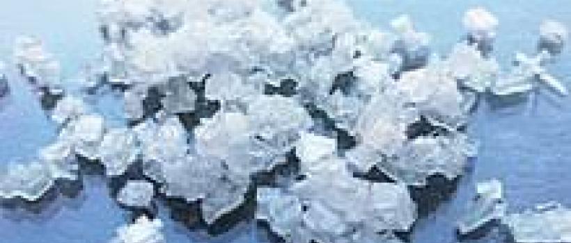 World Ammonia Market Research Report 2024