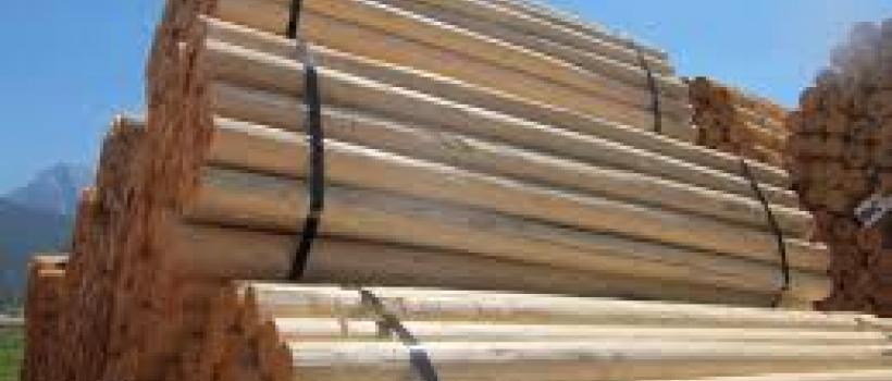 Ammoniacal Copper Quaternary 