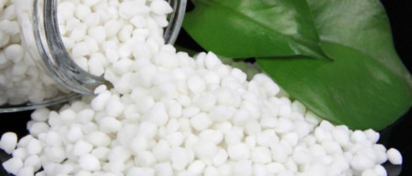 Ammonium Sulphate market
