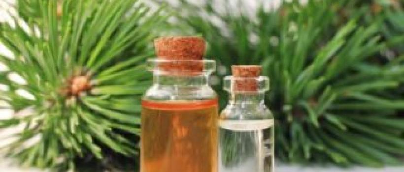 Amyris Oil