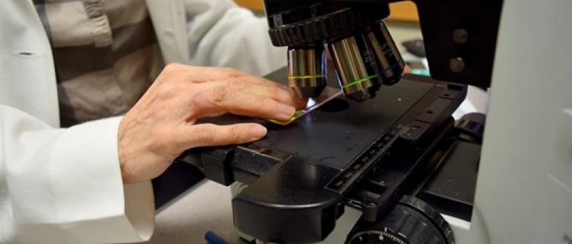 Anatomical Clinical Pathologist Email List