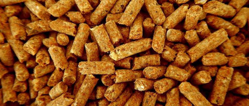 Animal Feed Additives Market
