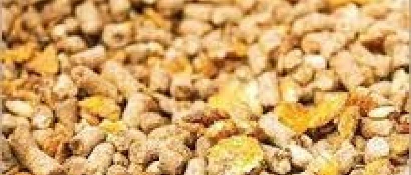 Animal Feed Enzymes Market