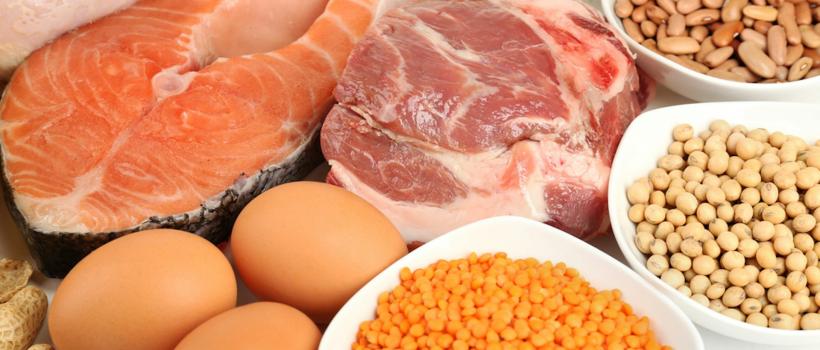 Animal Placental Protein Market