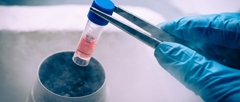 Animal Stem Cell Therapy Industry