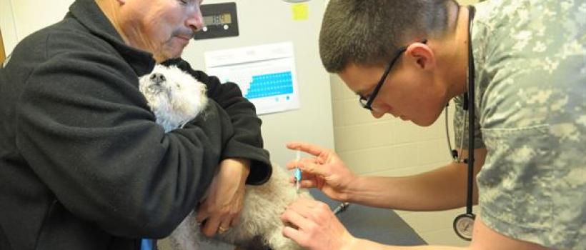 Animal Vaccines Market overview