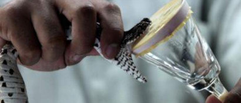 Antivenom Market Share
