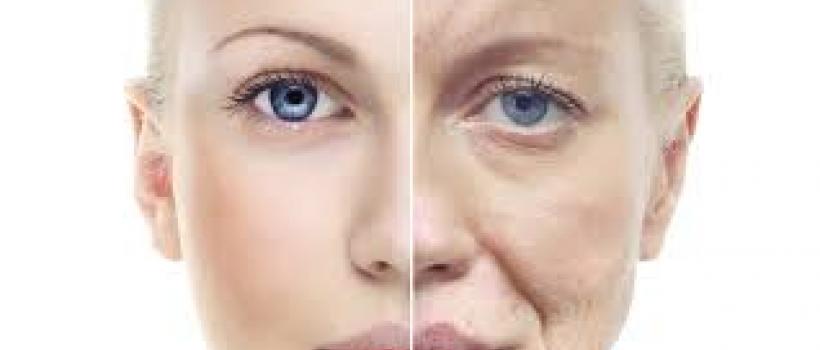  Anti-Aging Supplements Market
