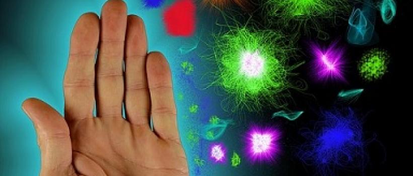 Antibodies Market