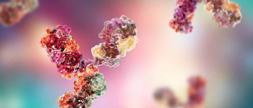 Antibodies Market