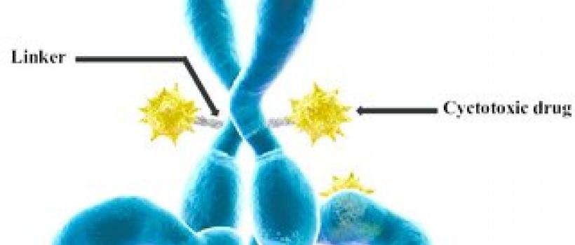Antibody Drug Conjugates Market