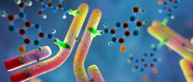 Global Antibody Drug Conjugates Market Report 2020