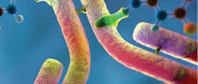 Antibody Drugs Market