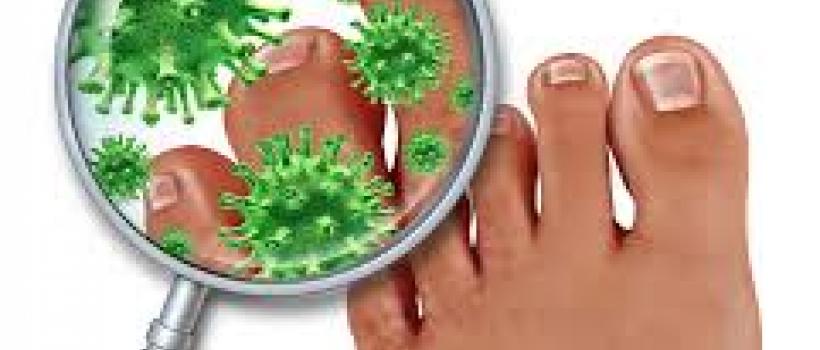 Antifungal Drugs