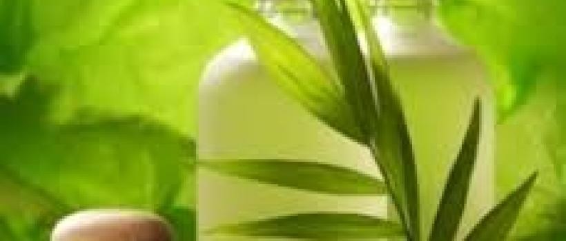 Antioxidant for Cosmetic 