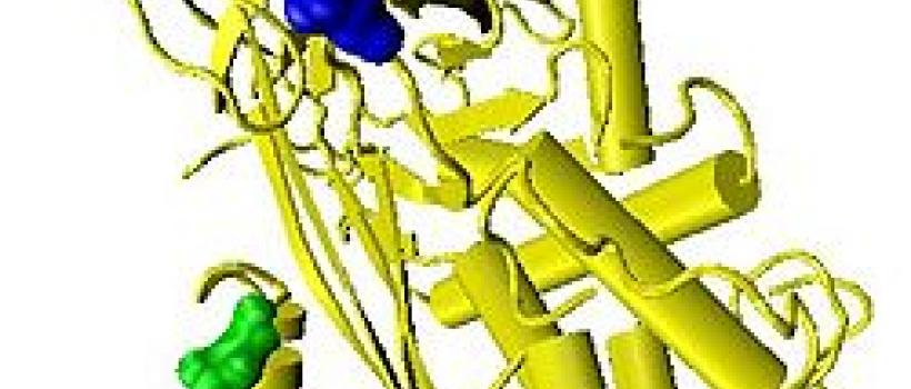 Antithrombin Sales