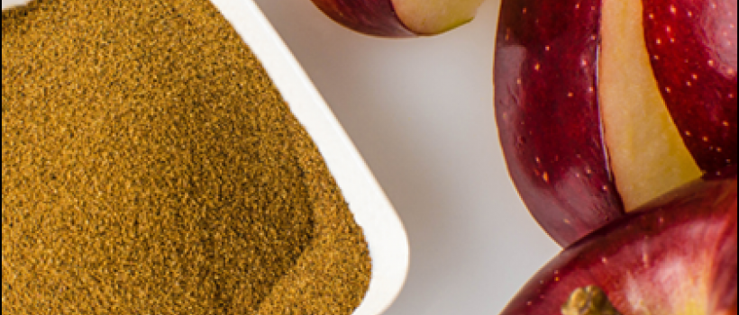 Apple Fiber